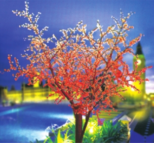 ���۵�ϵ��