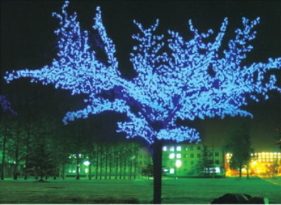 ���۵�ϵ��